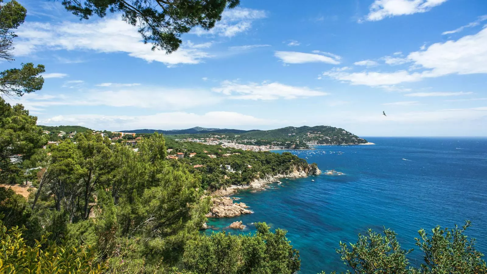 Una vista de Calella de Palafrugell en una imatge d’arxiu.
