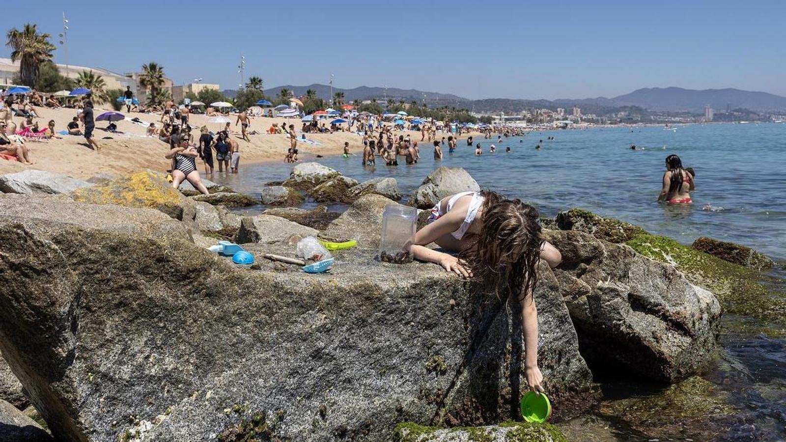 Several bathers enjoy a hot day at the Petroli beach in Badalona.