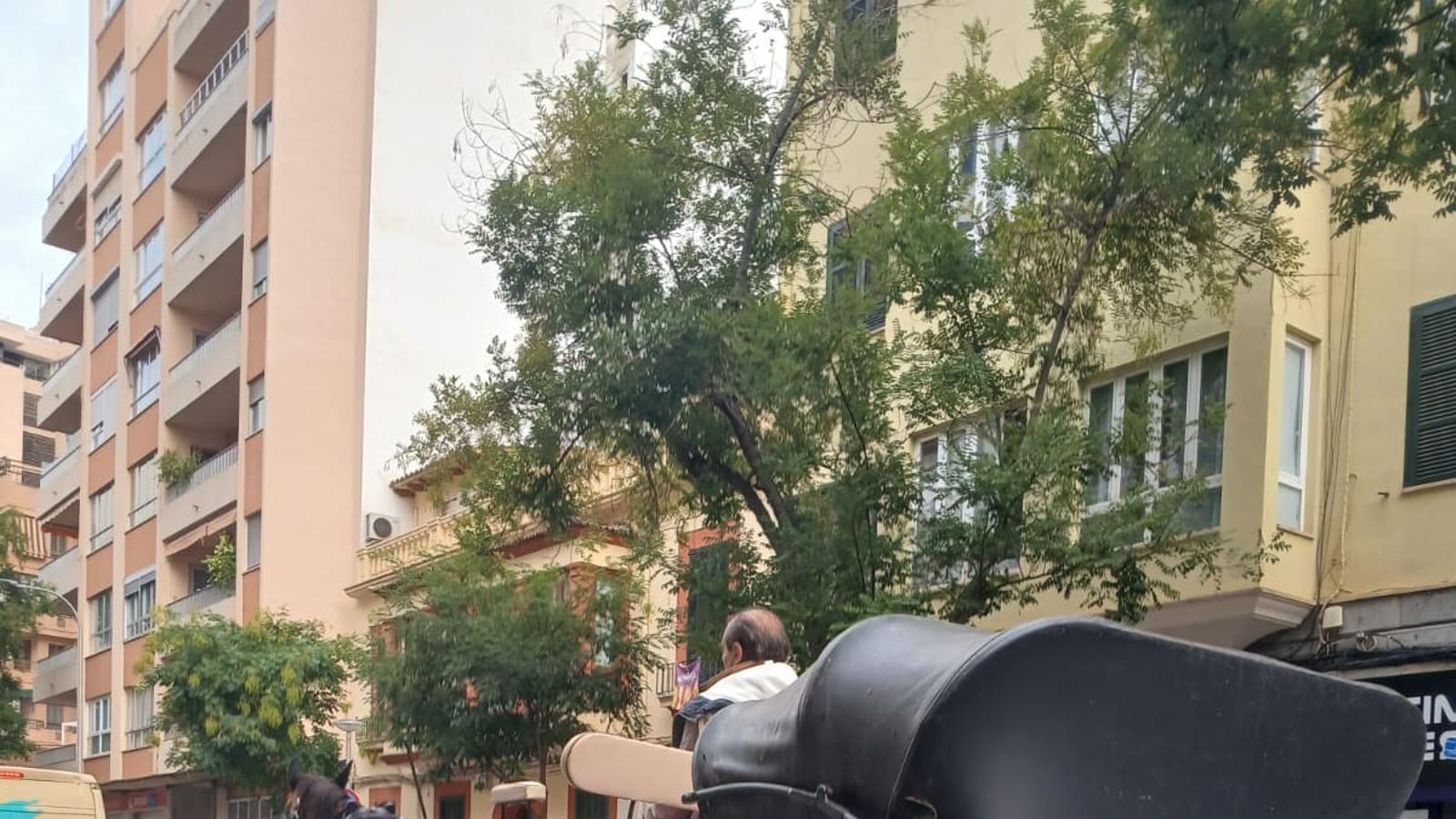 Una galera circulando por Palma este lunes