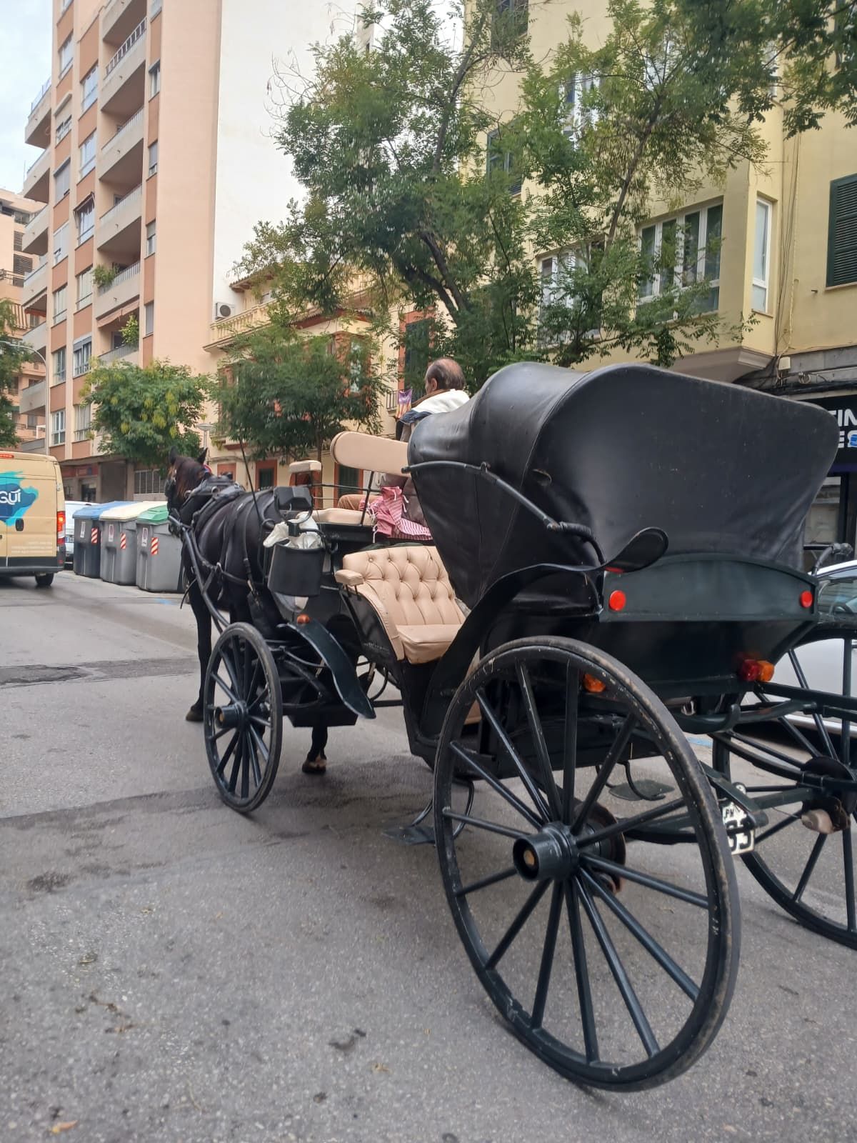 Una galera circulant per Palma aquest dilluns