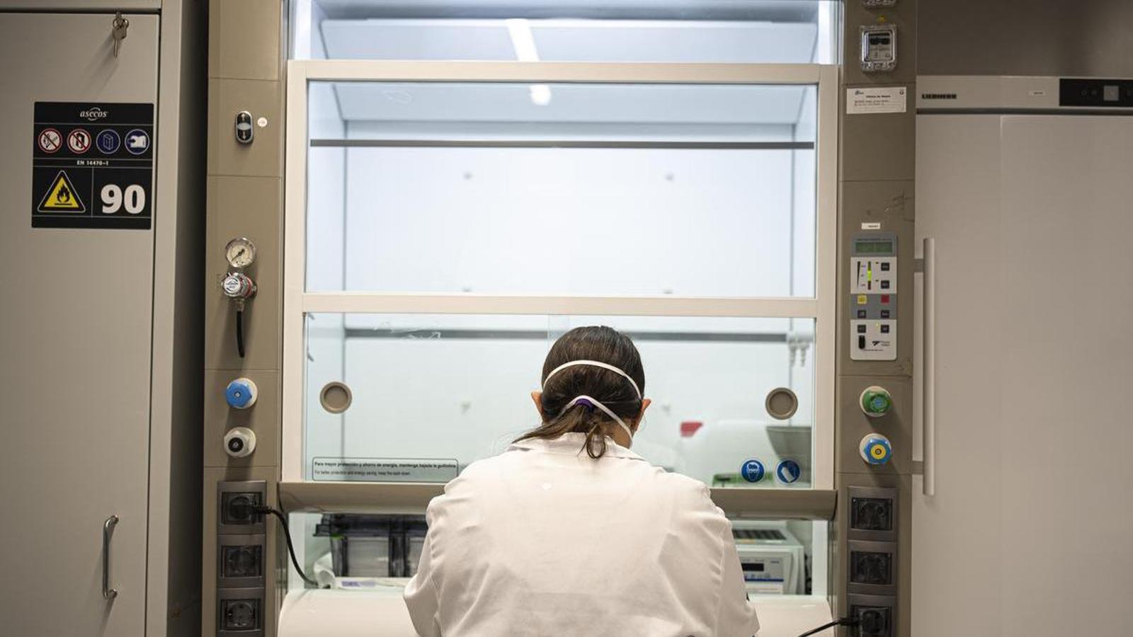 The offices of the startup SpliceBio, at the Barcelona Science Park (PCB).