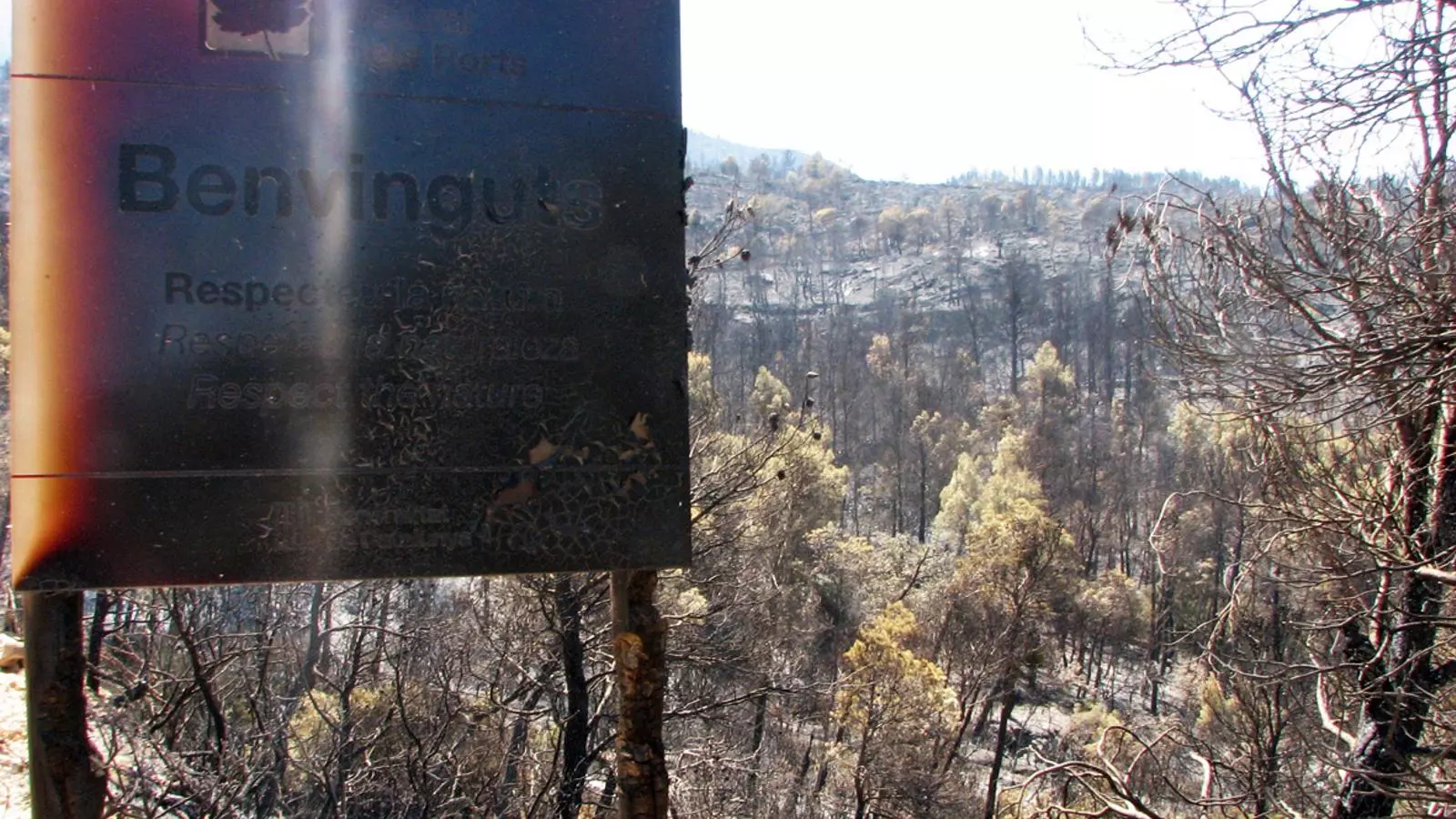L'incendi d'Horta de Sant Joan del juliol del 2009 va provocar la mort de cinc bombers.