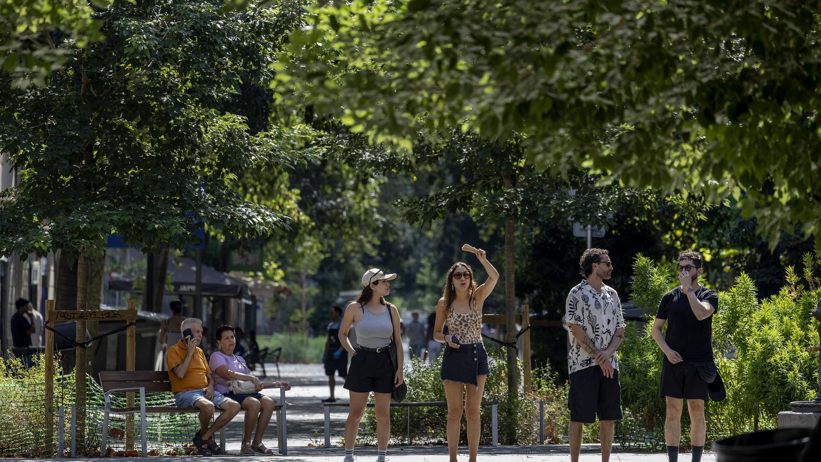 Los alquileres de la calle Consell de Cent han subido desde que es un eje verde de Barcelona
