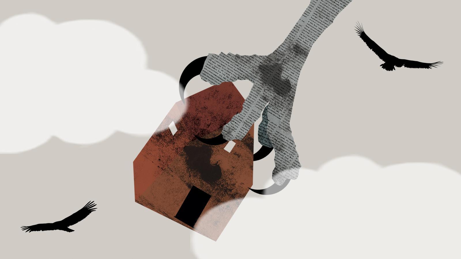 Vultures and opportunists