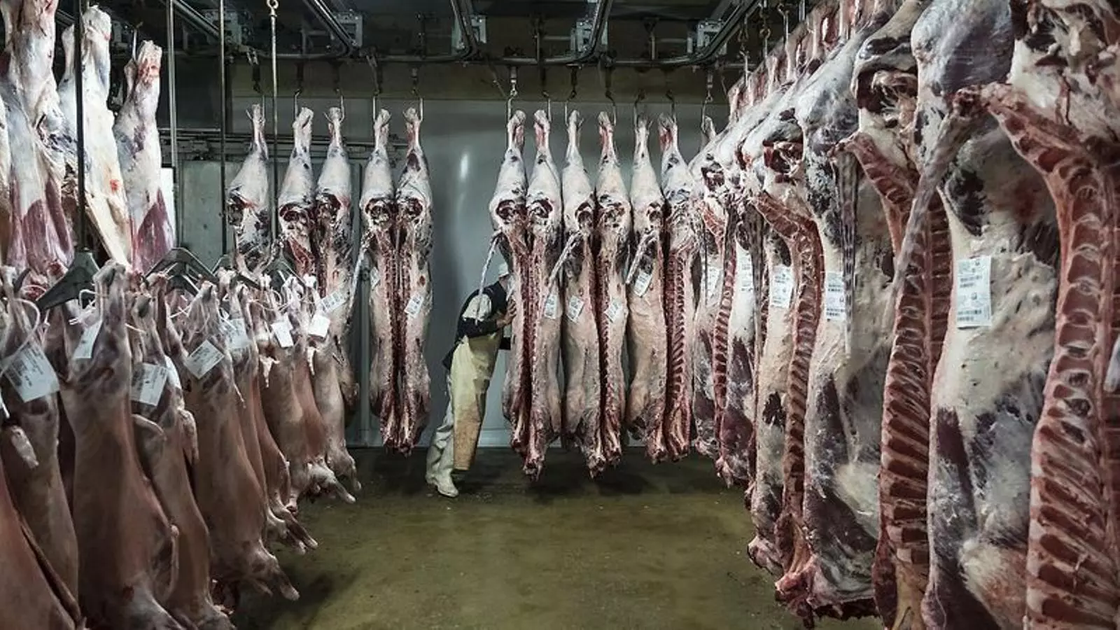 La carn és el subsector que més exporta.