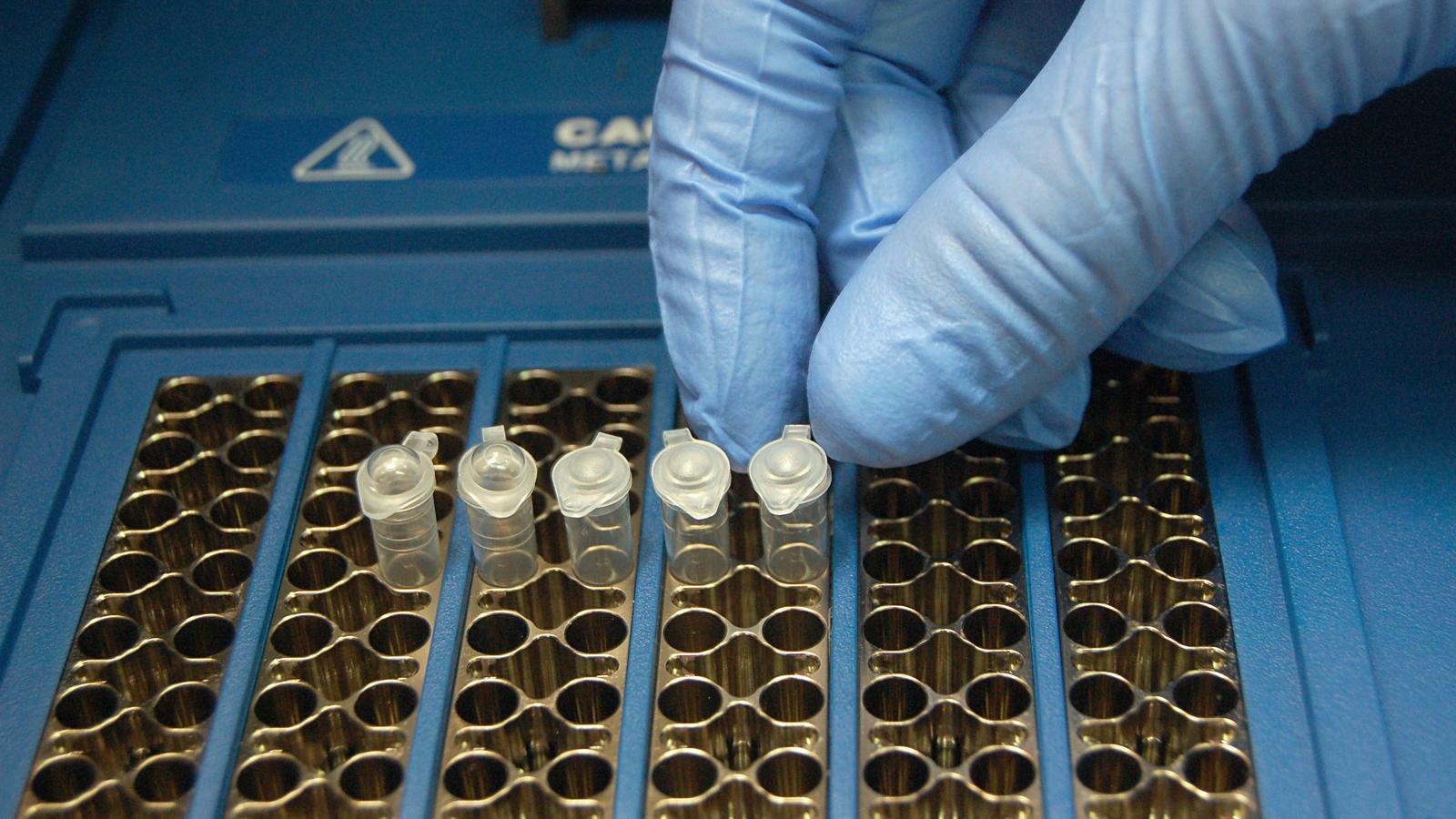 Un investigador fent feina a un laboratori.