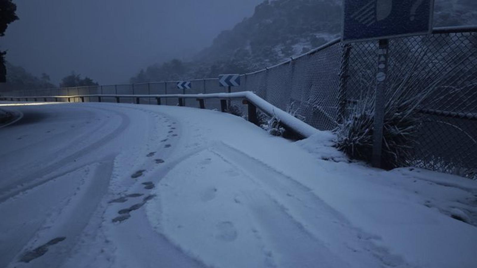 Fotografies d'Albert Darder a ''X''