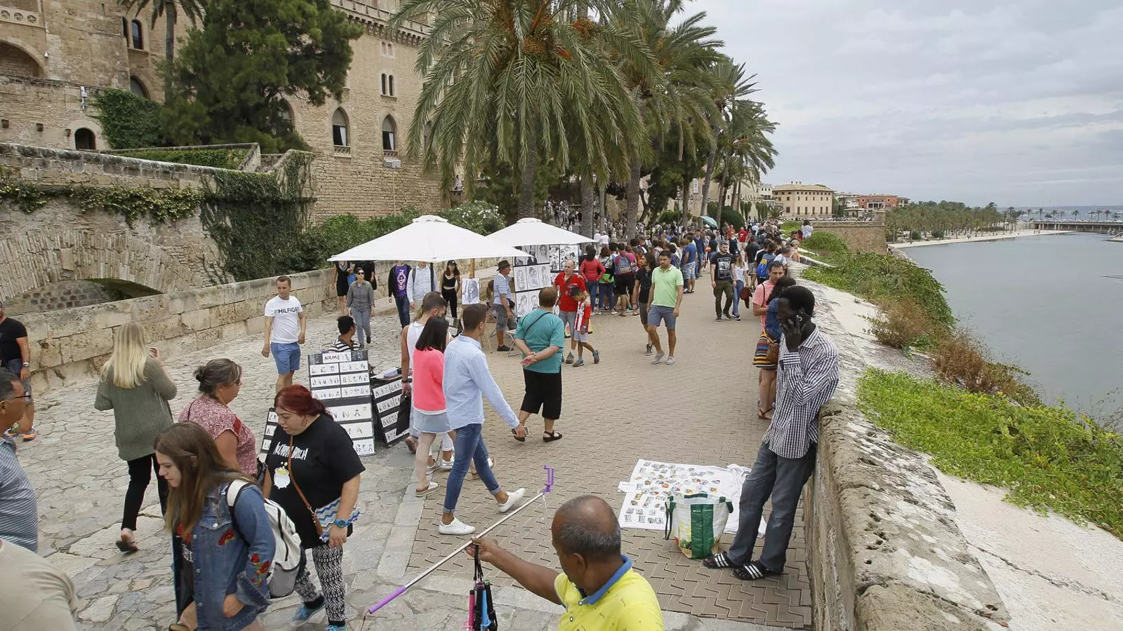 Una aplicació alertarà als creueristes sobre els punts de palma més congestionats