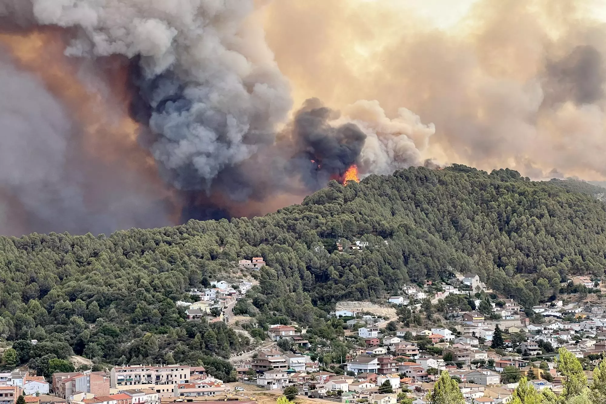 L'incendi del pont de Vilomara vis des d'un cim proper