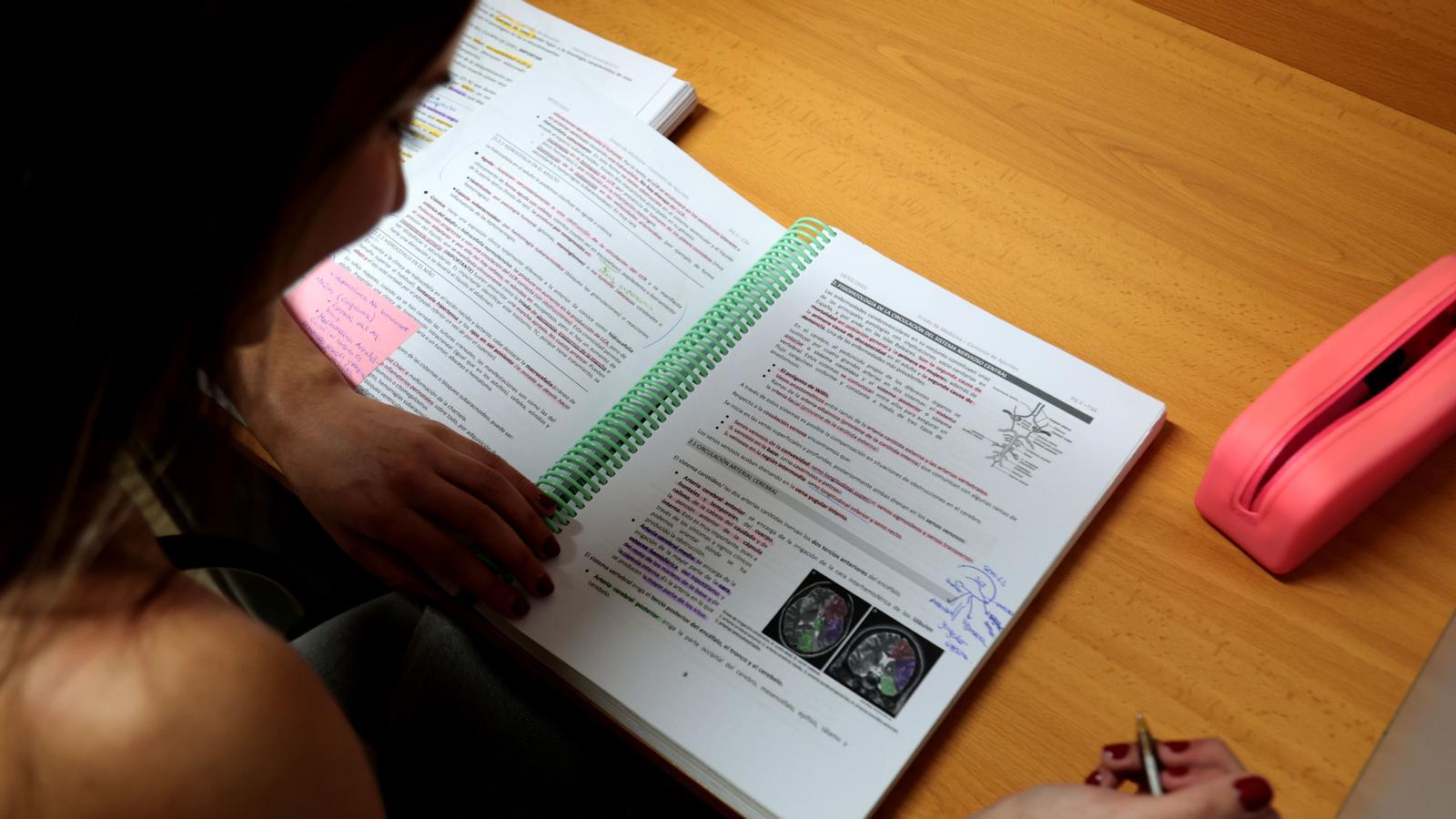 Una alumna estudia en la biblioteca en periodo de exámenes.