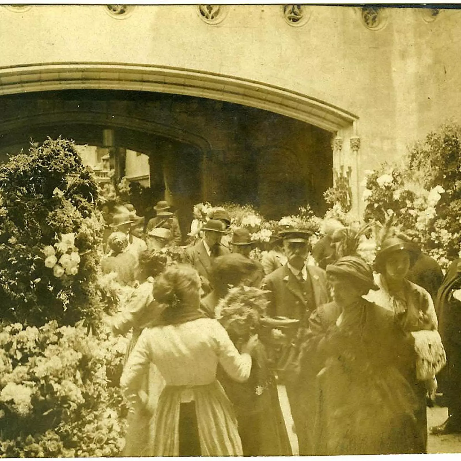 LA ROSA DE SAN JORGE