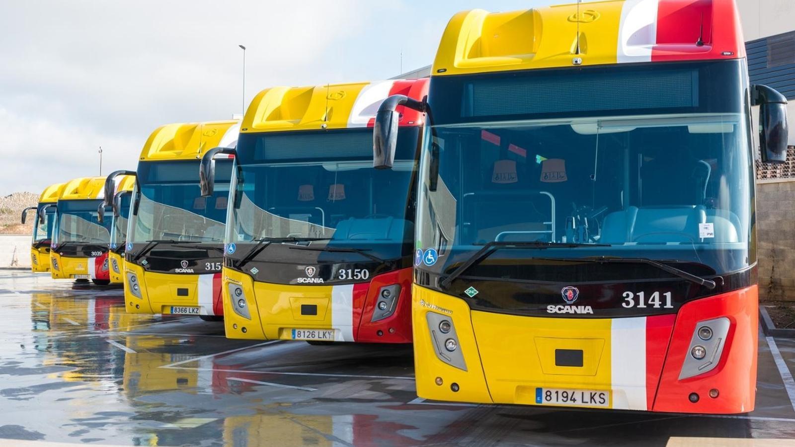 Buses del TIB.
