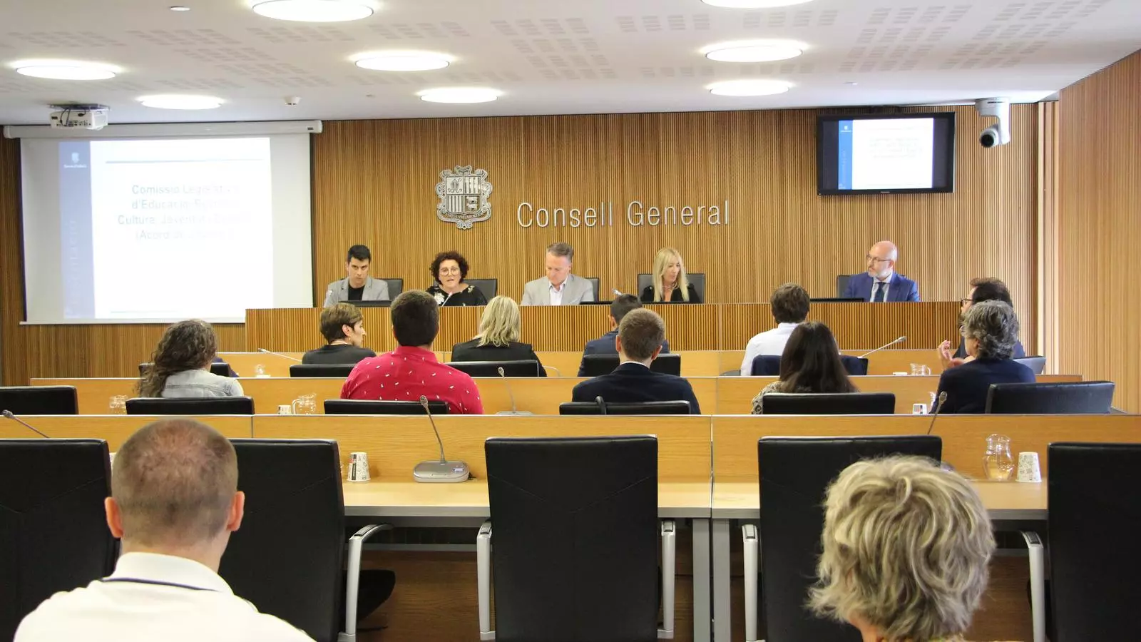 Pallarés compareixent a la Comissió Legislativa d'Educació, Recerca, Cultura, Joventut i Esports.