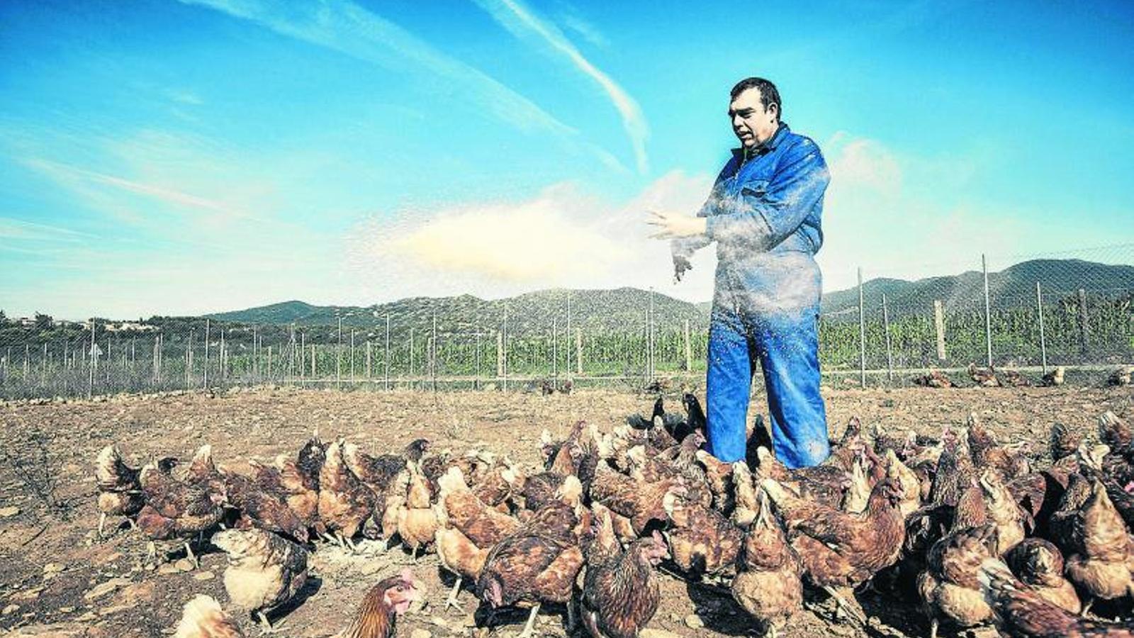 01. La Tavella és un projecte de producció i venda per internet de fruites i verdures ecològiques. 02. Ocupa persones amb discapacitat intel·lectual.