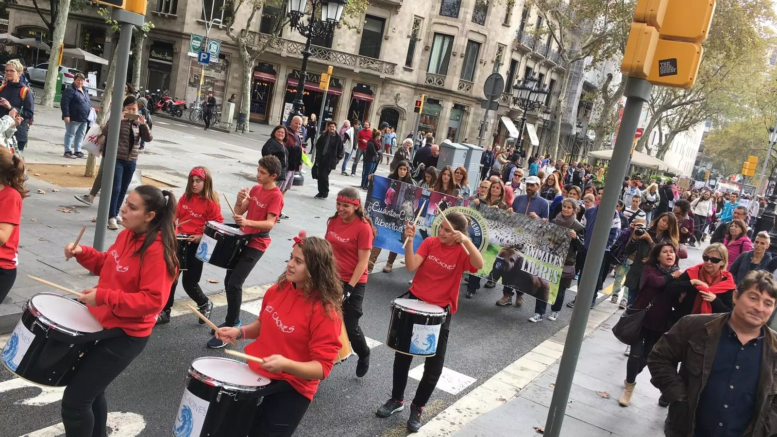La protesta antitaurina, enfilant el passeig de Gràcia