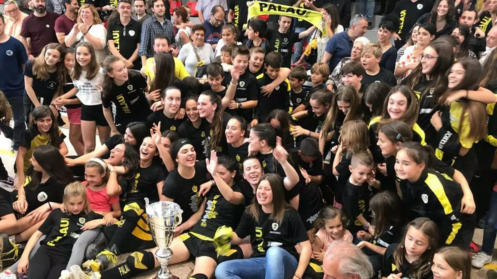 L'HC Palau de Plegamans es proclama campió de l'OK Lliga