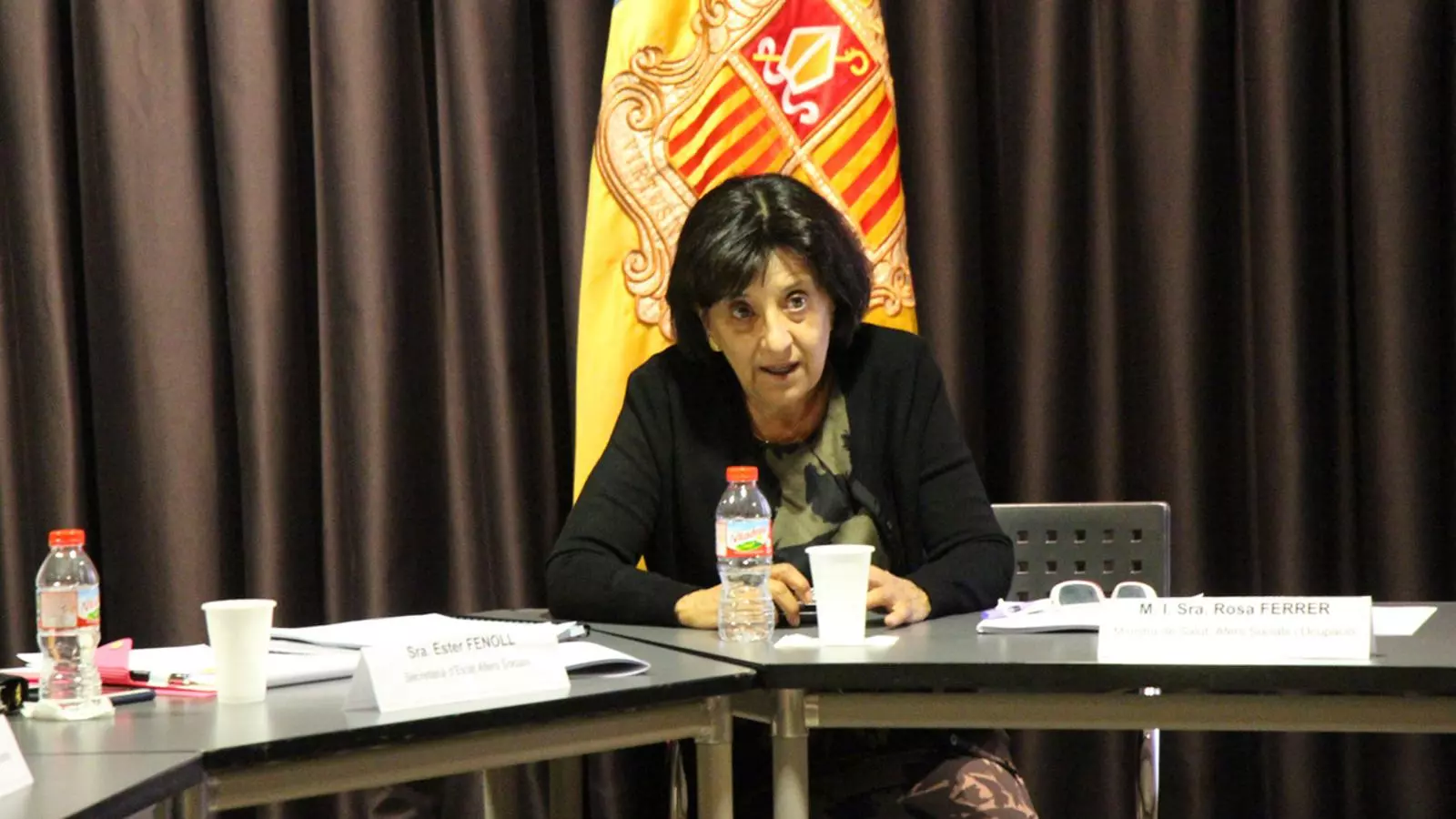 La ministra de Salut, Afers Socials i Ocupació, durant la reunió de la CONADIS celebrada aquest dilluns a la tarda