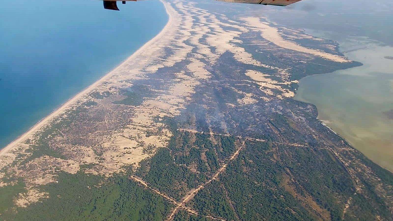 Fire in the Doñana Natural Park