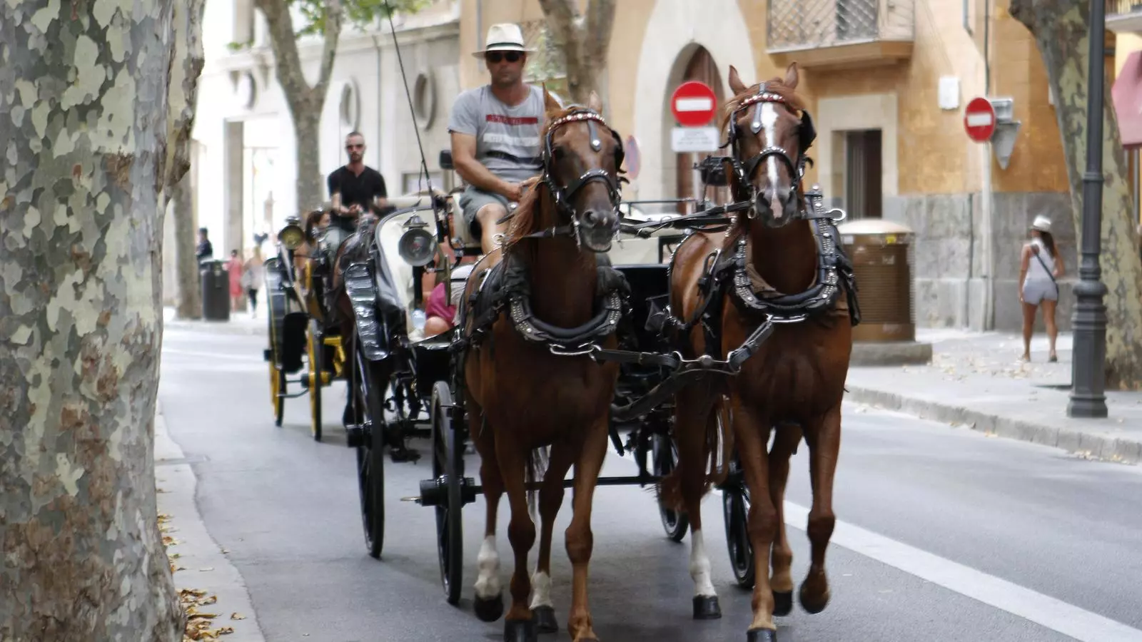 Cort ha multiplicat les inspeccions laborals als conductors de galeres.