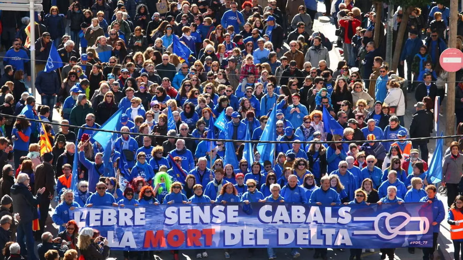 La capçalera de la manifestació, que ha estat multitudinària