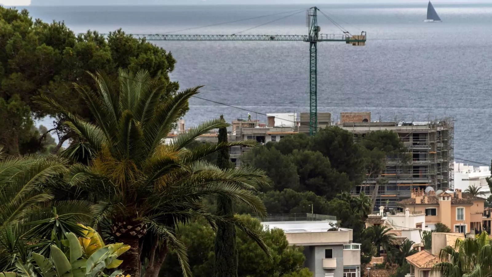 Una imatge de Palma de Mallorca, en una fotografia d'arxiu