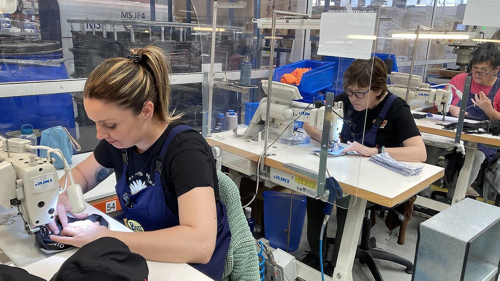 The Catalan company Buff grows in the Netherlands