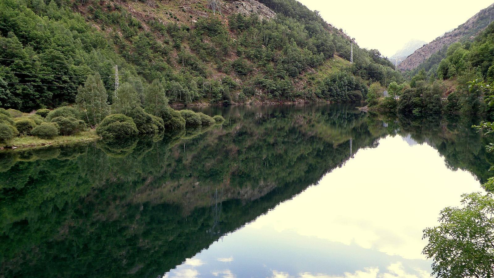 Tavascan Swamp