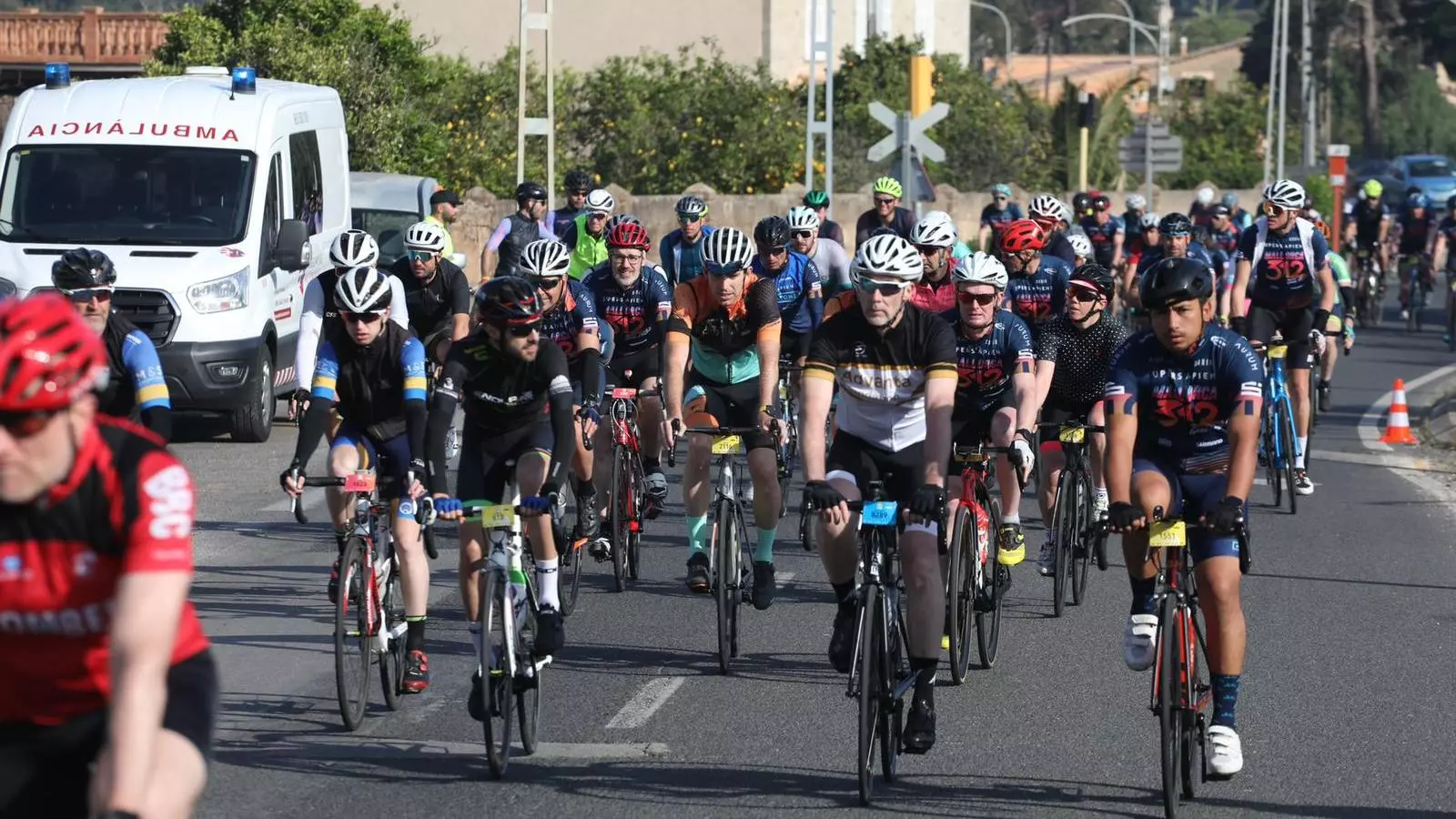 Mallorca 312