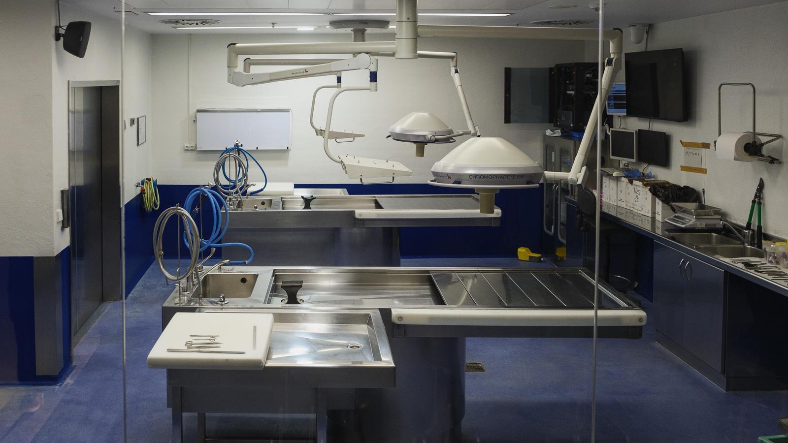An autopsy room at the IMLCFC.