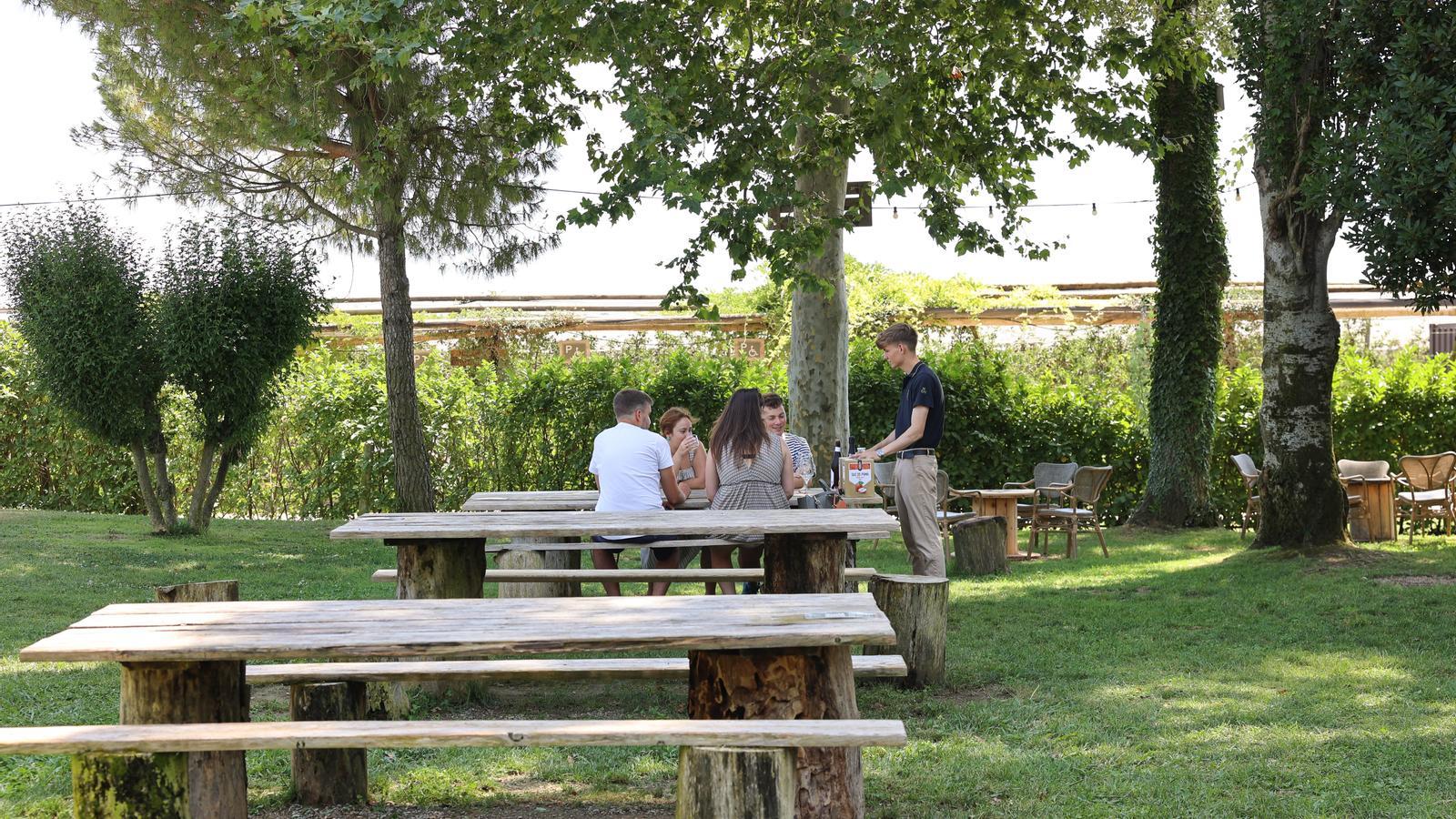 The apple trees of the Mooma project.