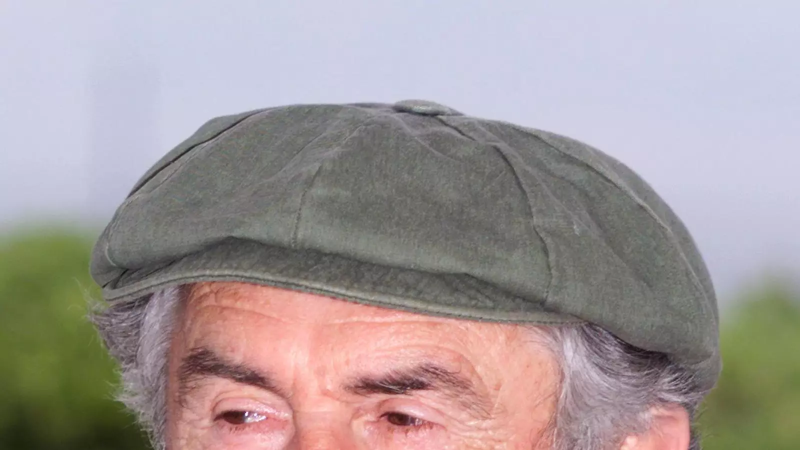 Tonino Guerra