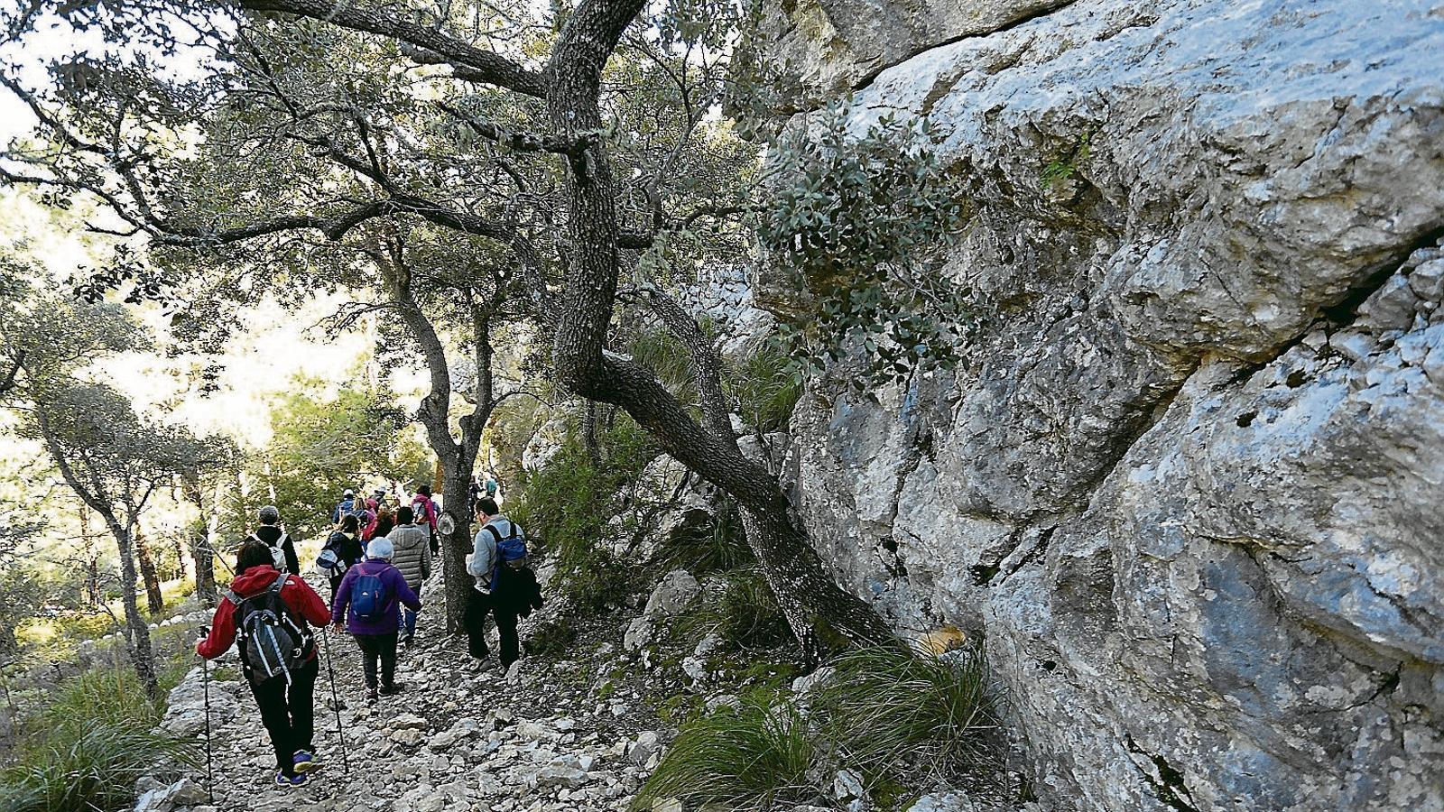 La manca d’alternatives d’oci satura la Serra