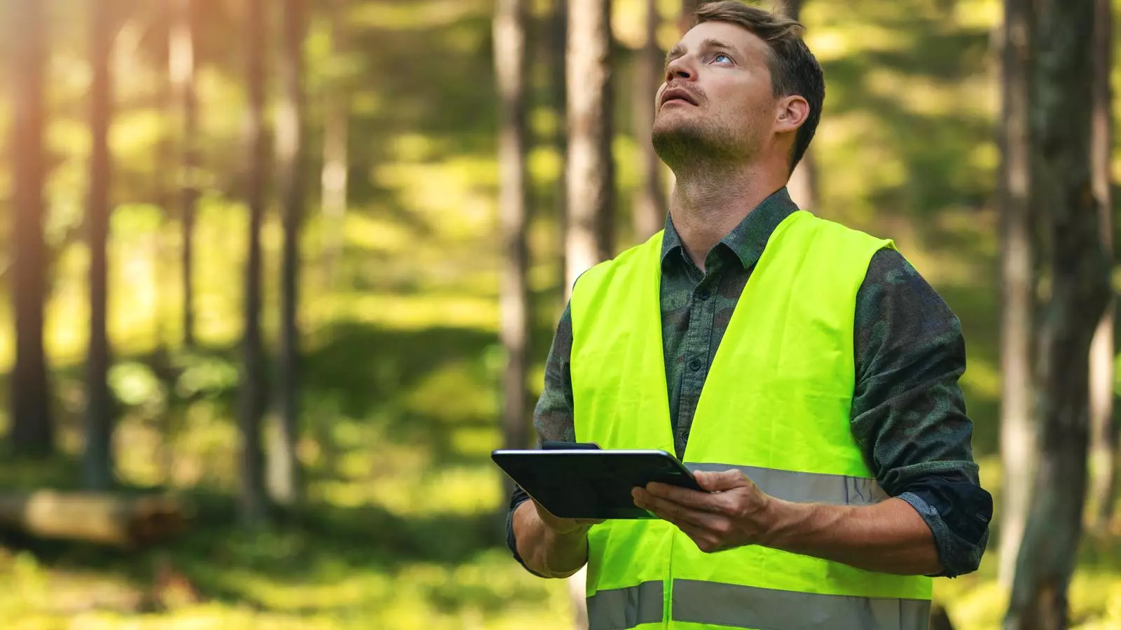 Els màsters i postgraus sobre sostenibilitat, gestió forestal o mediambient en general guanyen pes any rere any