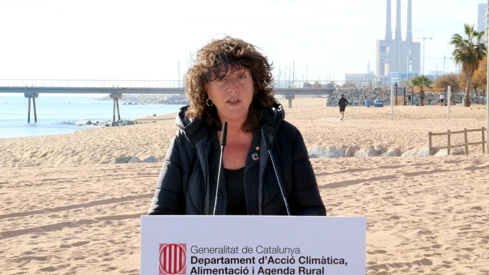 La consellera d'Acció Climàtica, Teresa Jordà, al pont del Petroli de Badalona, afectat pel temporal Gloria.