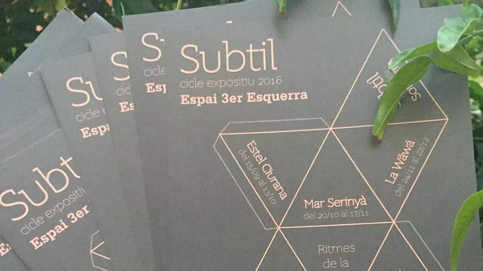 Els fulletons del cicle 'Subtil'