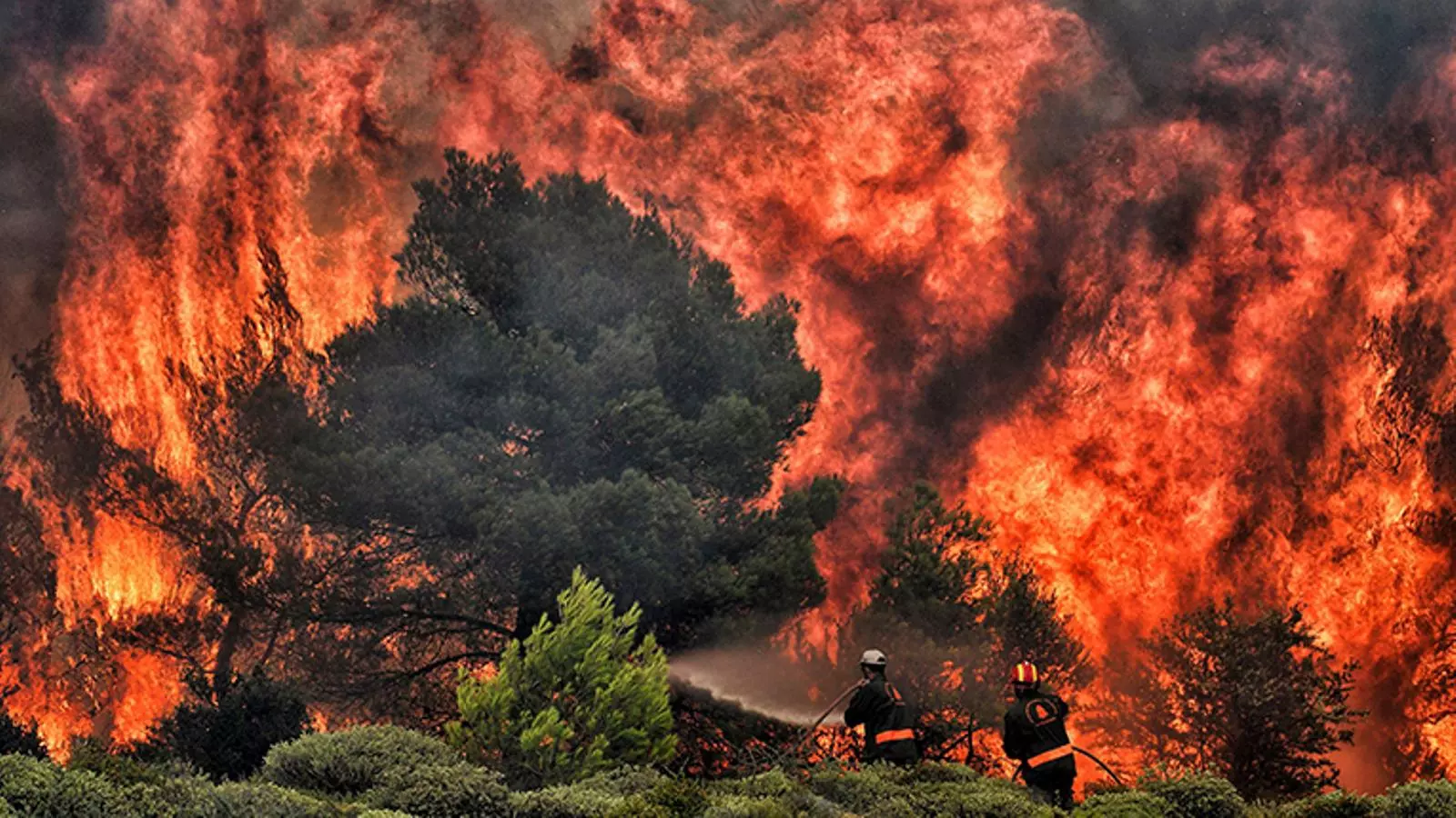 Les altes temperatures i fort vent no ajuden als incendis de Grècia