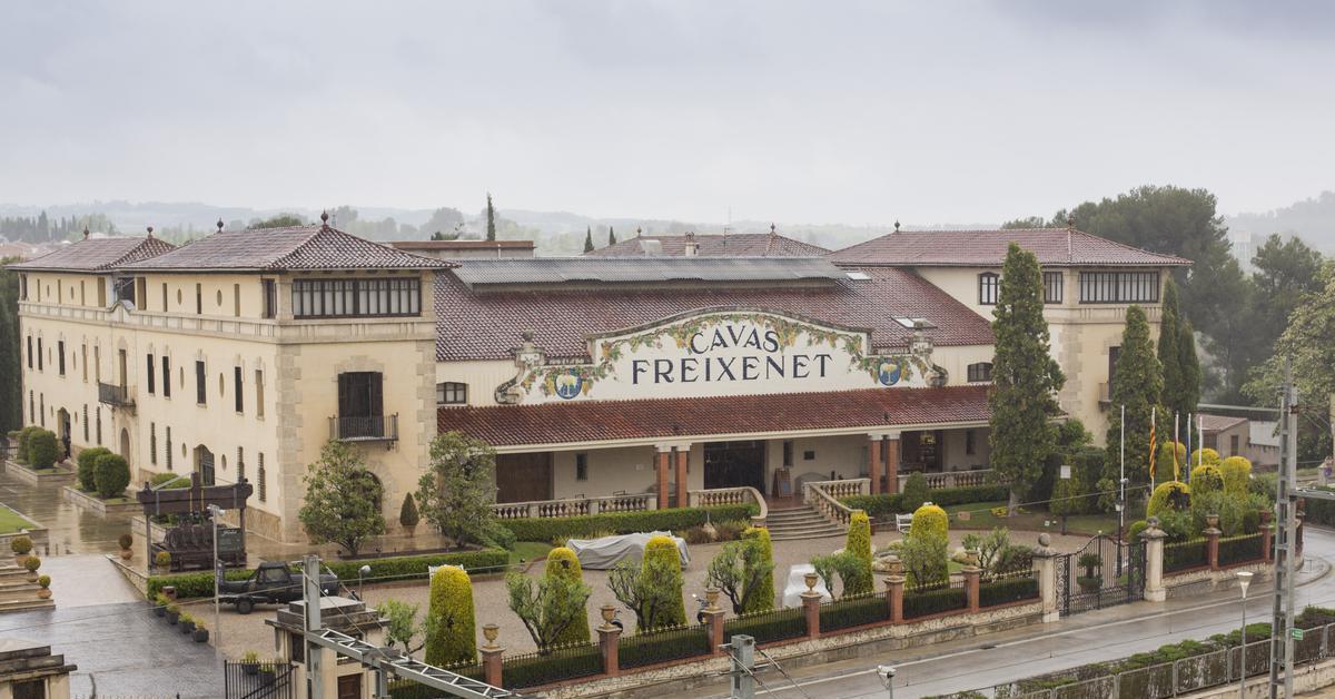 Freixenet Strike: Workers Walk Out Over ERO