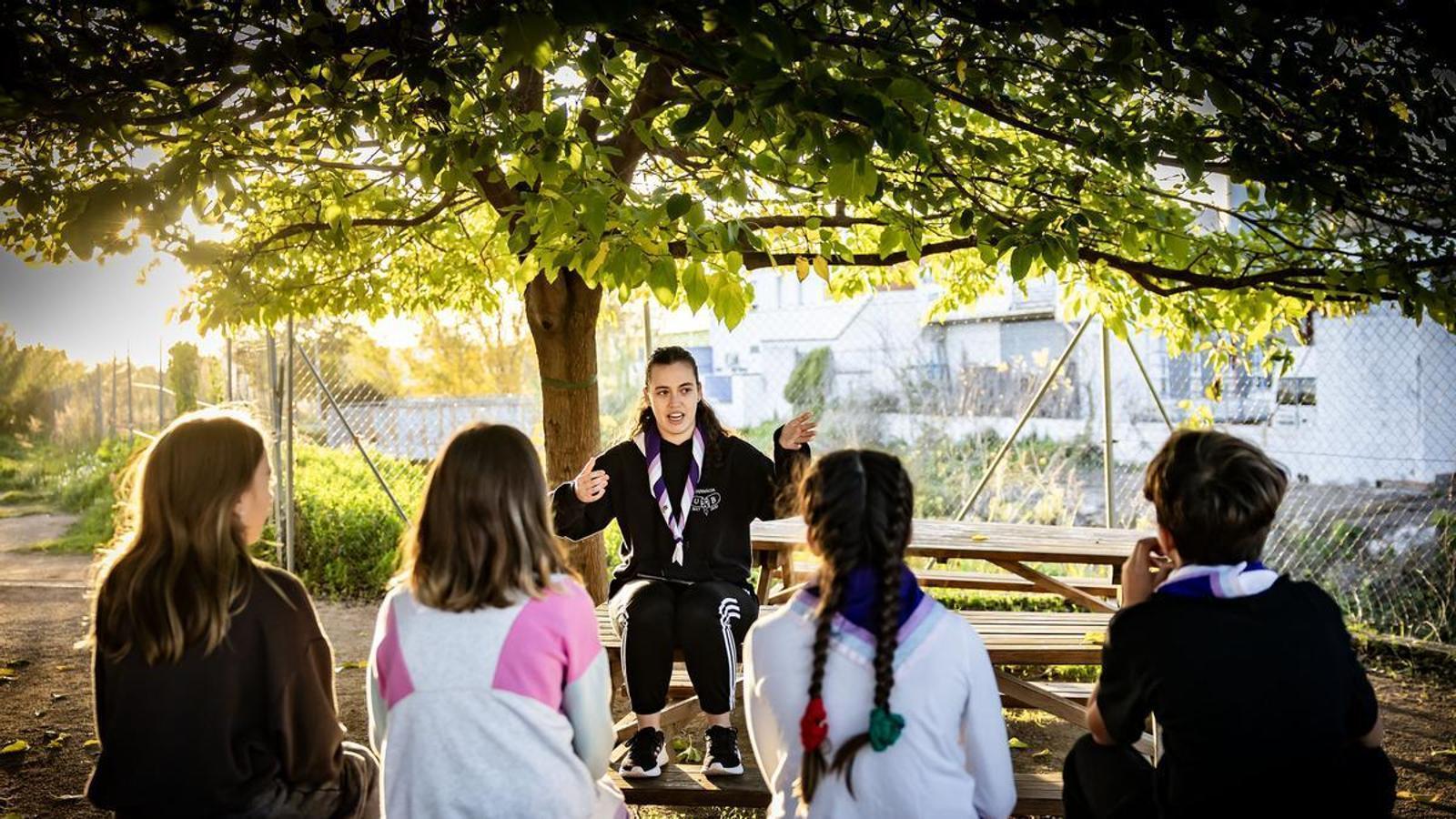 Monitor de esparcimiento.