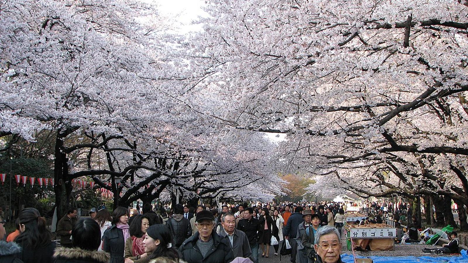 El parc de Ueno