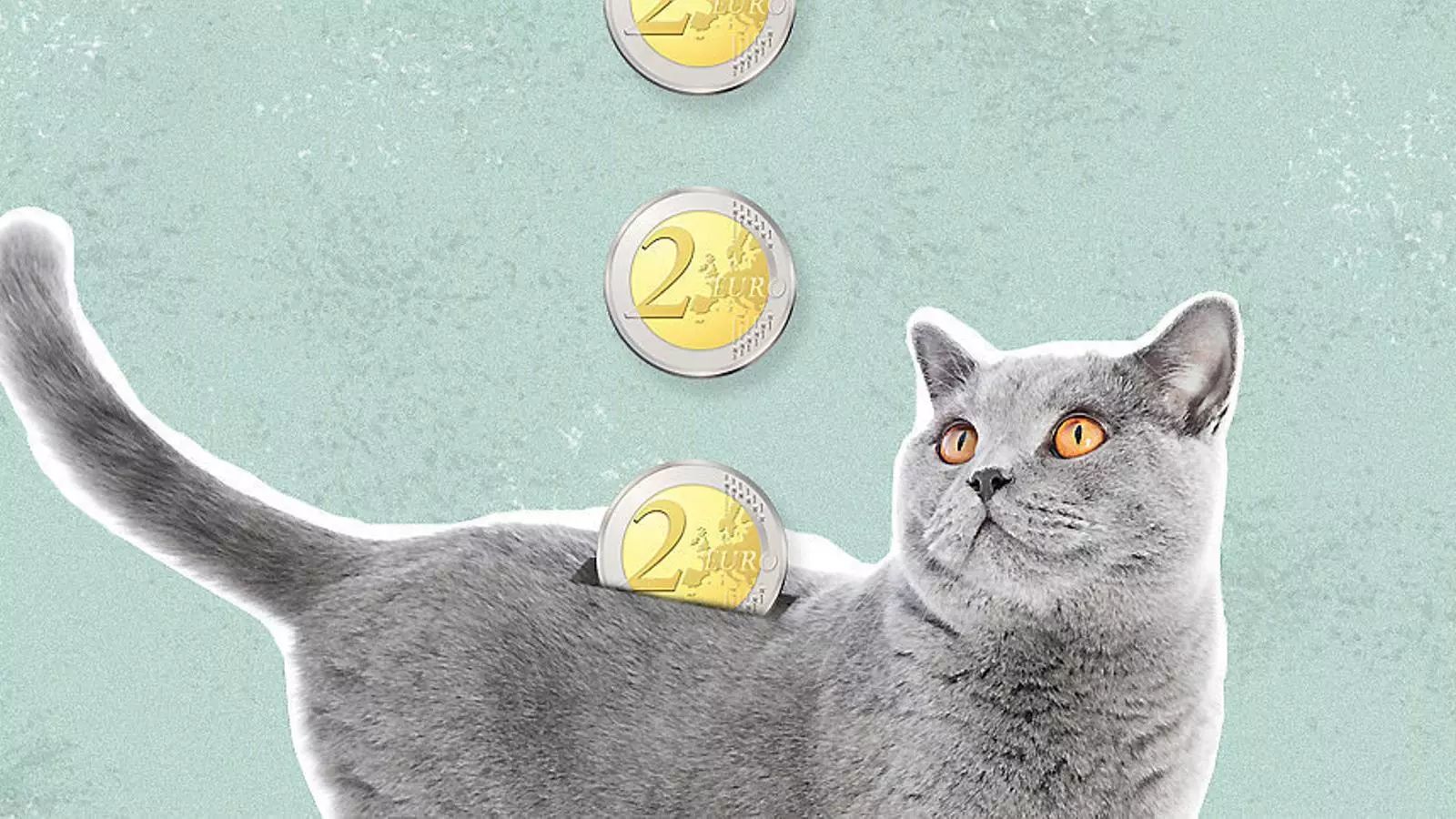 Menys nens, més mascotes: el boom dels animals de companyia