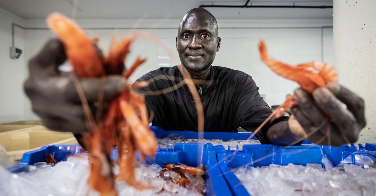 Els pescadors que venen perquè Europa els ha deixat sense peixos