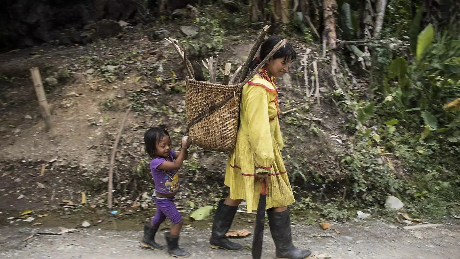 Una dona embera camina carregada amb la llenya que ha tallat acompanyada d’una nena.