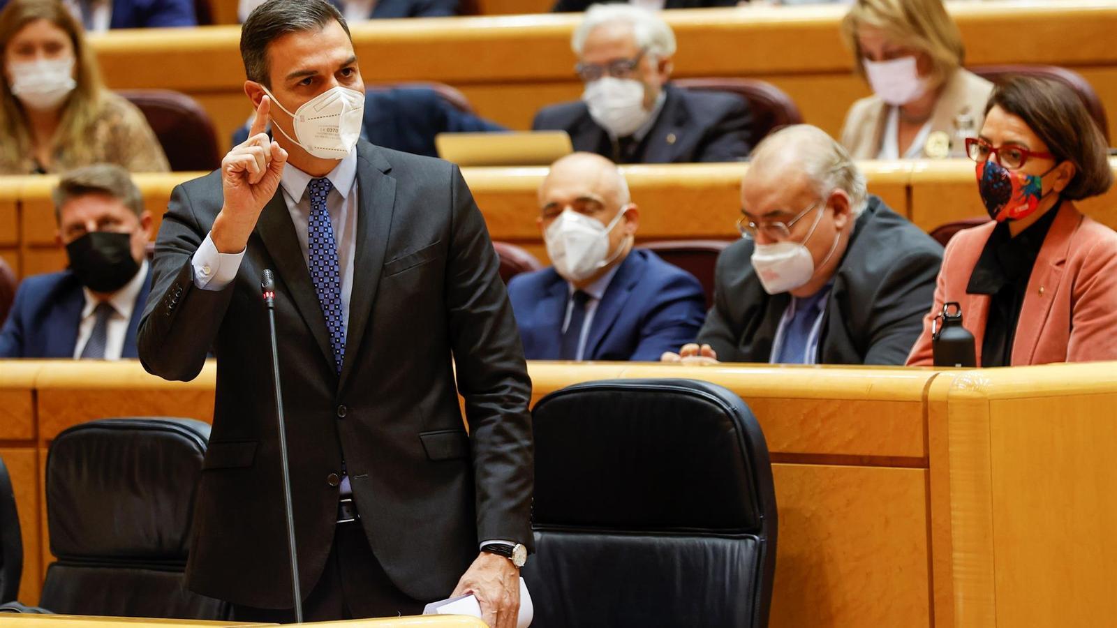 Pedro Sánchez en la sessió de control del Senat