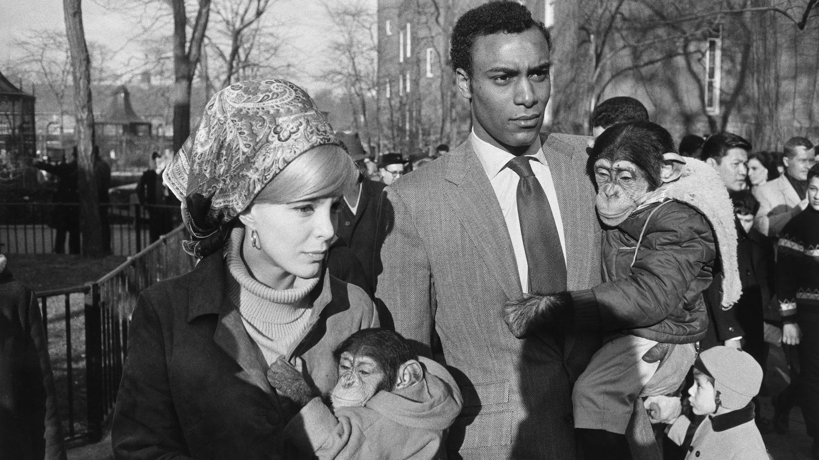 Central Park Zoo, de Garry Winogrand, 1967