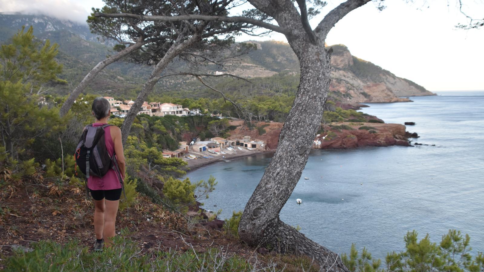 Perspectiva del Puerto del Canónigo y de la costa de Banyalbufar desde el camino de la Casa Blanca.