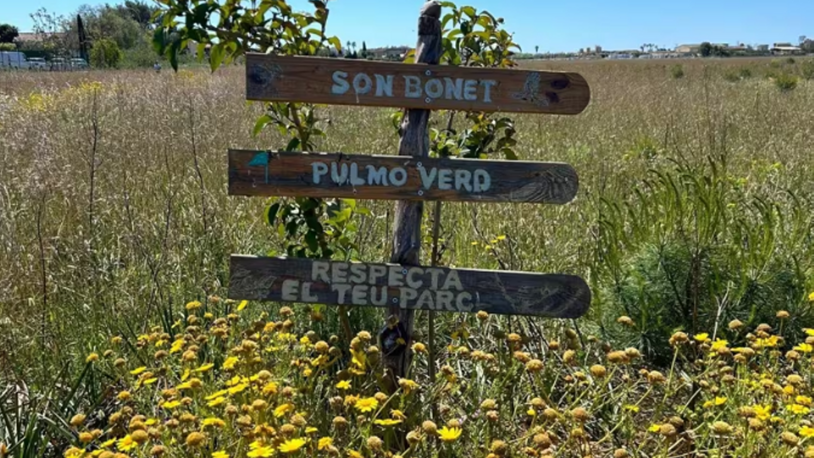 Cartell de Son Bonet