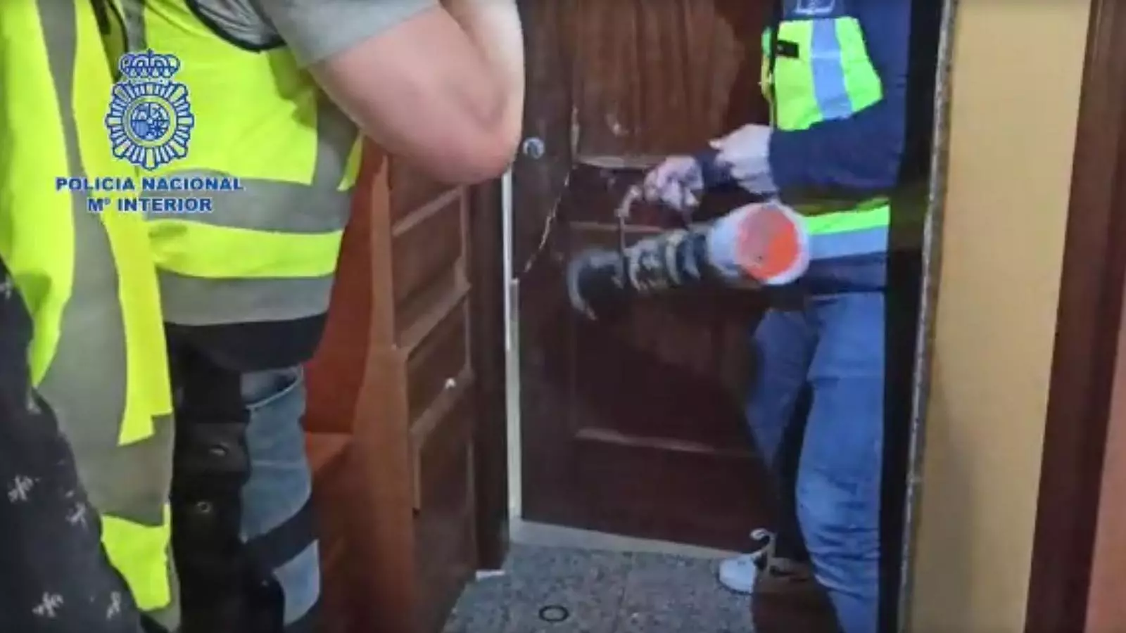 Imatges de les detencions dels membres de l'organització criminal.