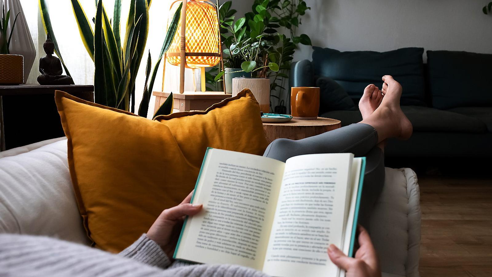 A person reading.