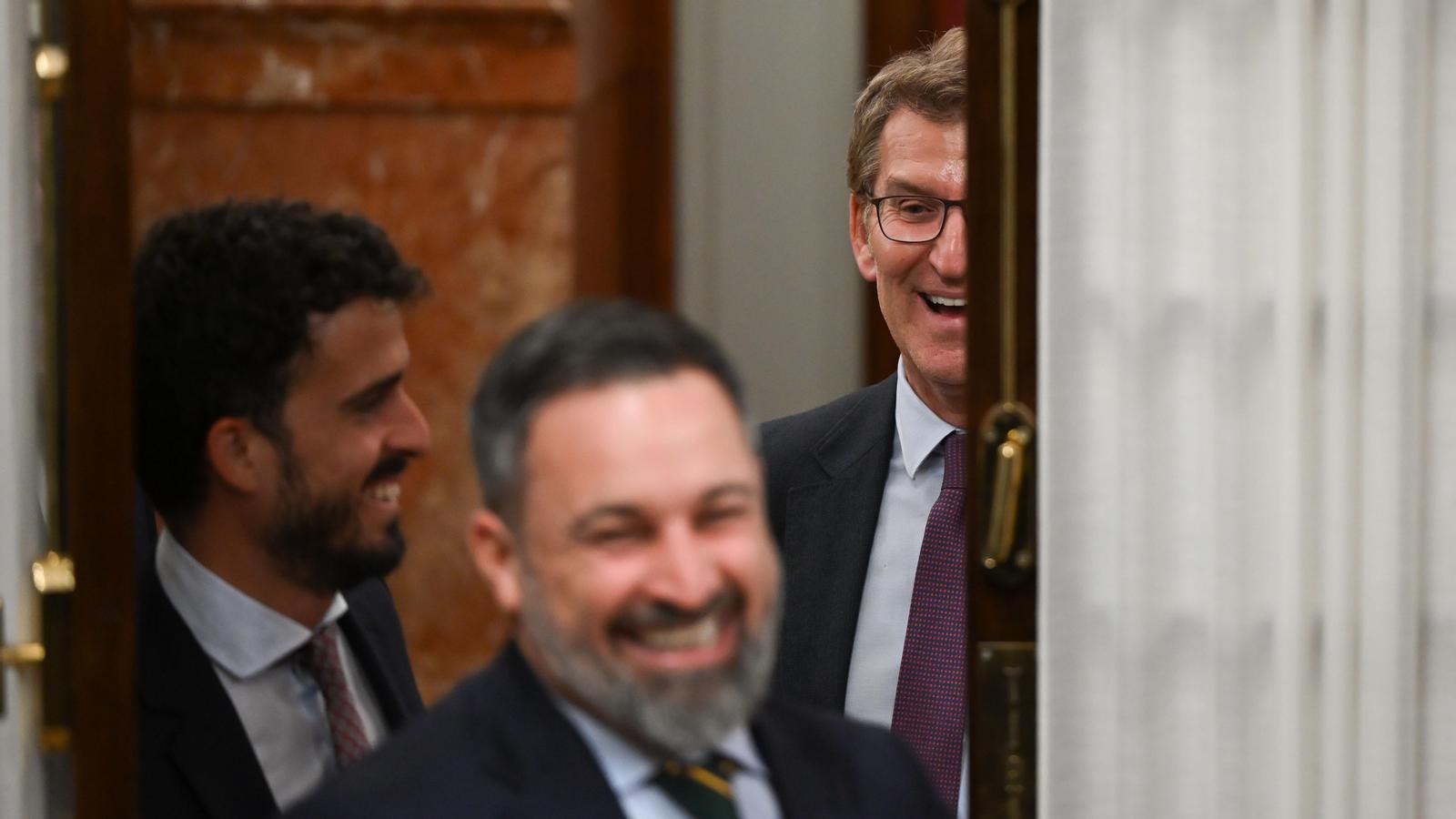 Alberto Núñez Feijóo and Santiago Abascal in a plenary session of Congress.