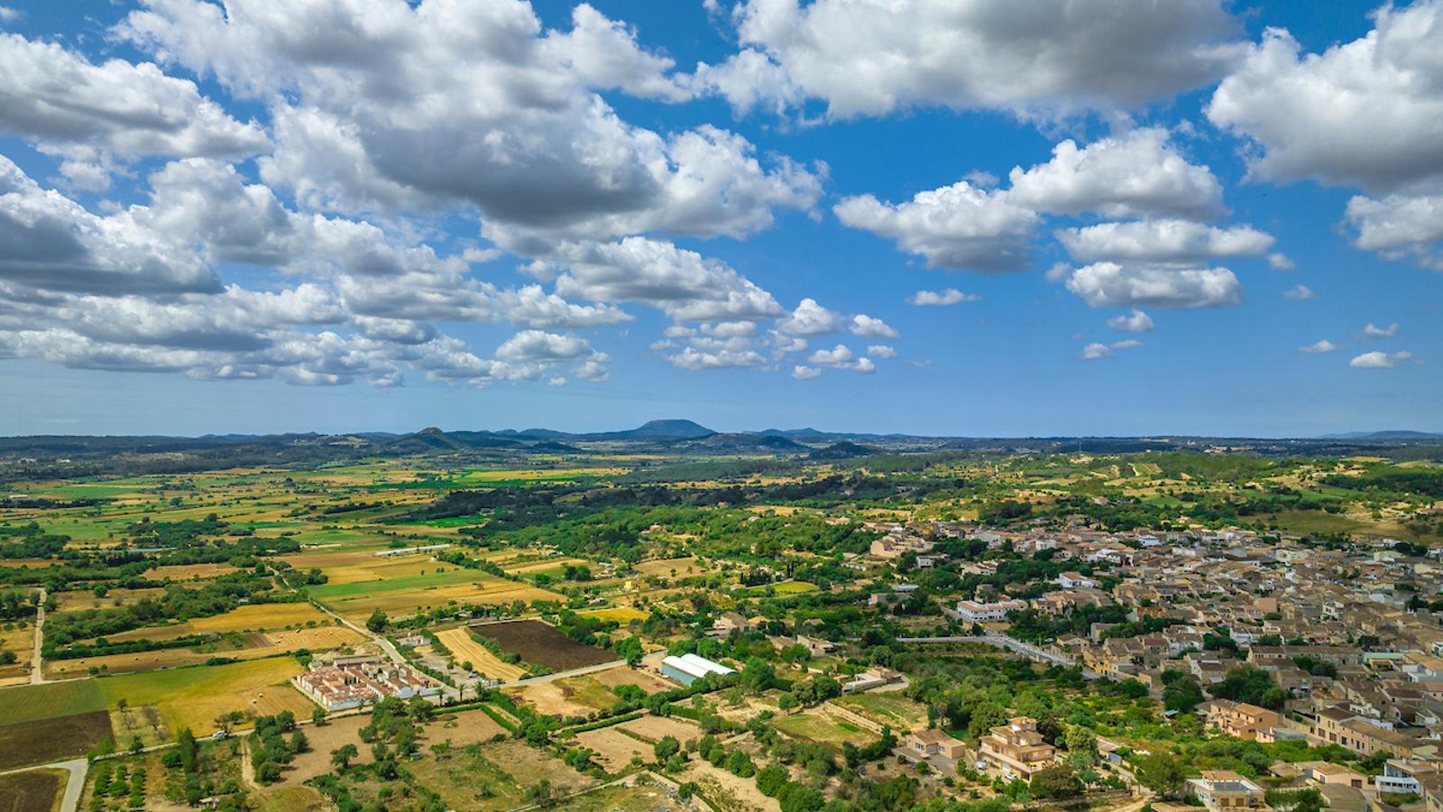 Tierras de Maria de la Salud con el puig de Randa al fondo.
